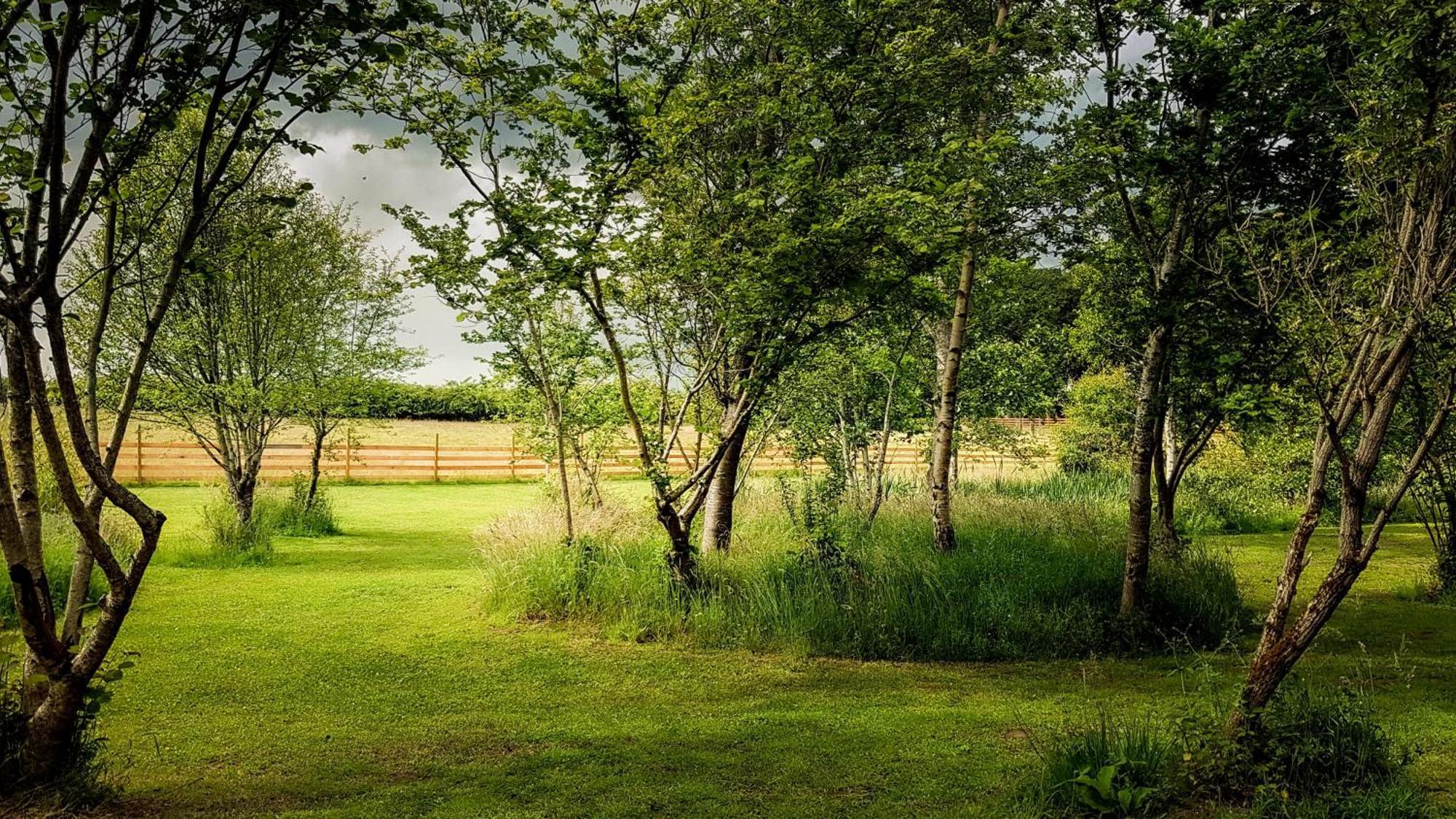 Marcassie Farm Lodges - Willow Studio Forres Exterior foto