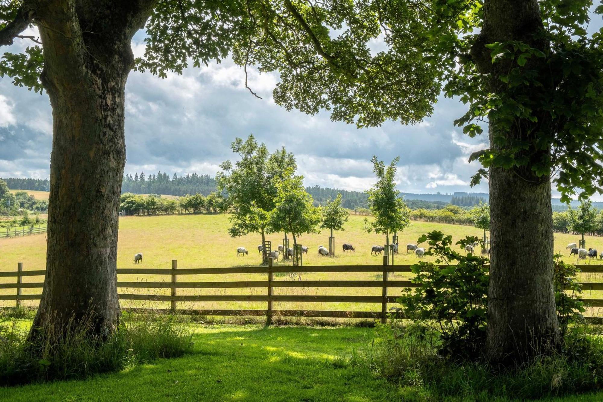 Marcassie Farm Lodges - Willow Studio Forres Exterior foto